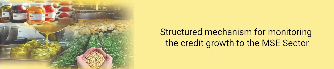 Structured Mechanism for Monitoring the Credit Growth to the MSE Sector