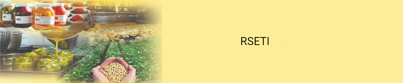RSETI details