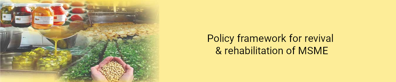 Policy-framework for revival & rehabilitation of MSMEs